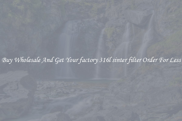 Buy Wholesale And Get Your factory 316l sinter filter Order For Less