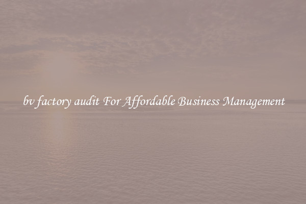 bv factory audit For Affordable Business Management
