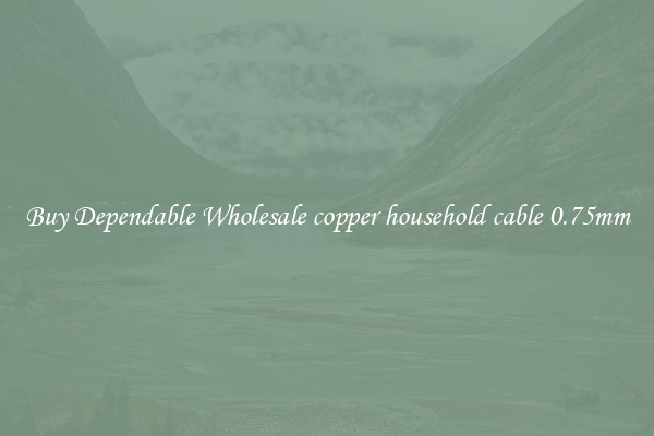 Buy Dependable Wholesale copper household cable 0.75mm