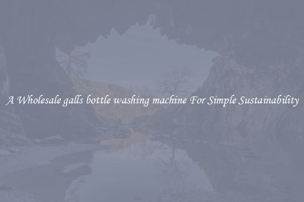  A Wholesale galls bottle washing machine For Simple Sustainability 