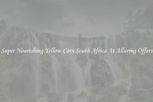 Super Nourishing Yellow Corn South Africa At Alluring Offers