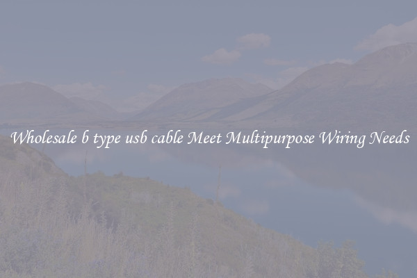 Wholesale b type usb cable Meet Multipurpose Wiring Needs