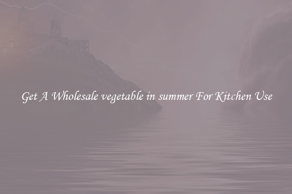 Get A Wholesale vegetable in summer For Kitchen Use