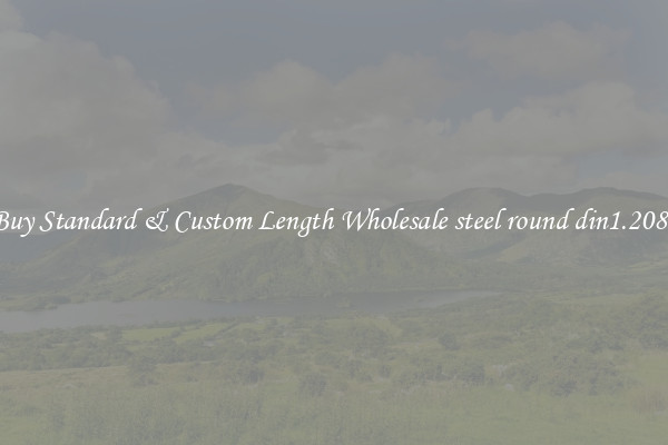 Buy Standard & Custom Length Wholesale steel round din1.2080