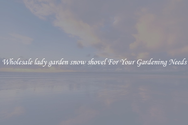 Wholesale lady garden snow shovel For Your Gardening Needs