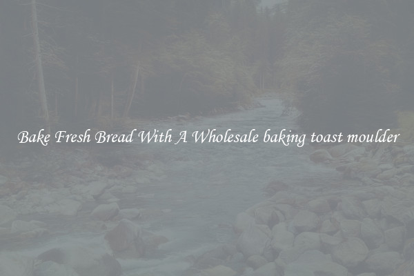 Bake Fresh Bread With A Wholesale baking toast moulder