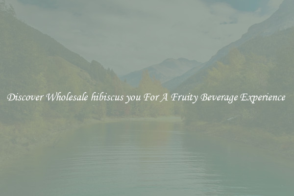Discover Wholesale hibiscus you For A Fruity Beverage Experience 