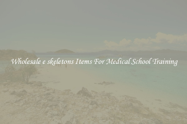 Wholesale e skeletons Items For Medical School Training