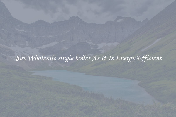 Buy Wholesale single boiler As It Is Energy Efficient