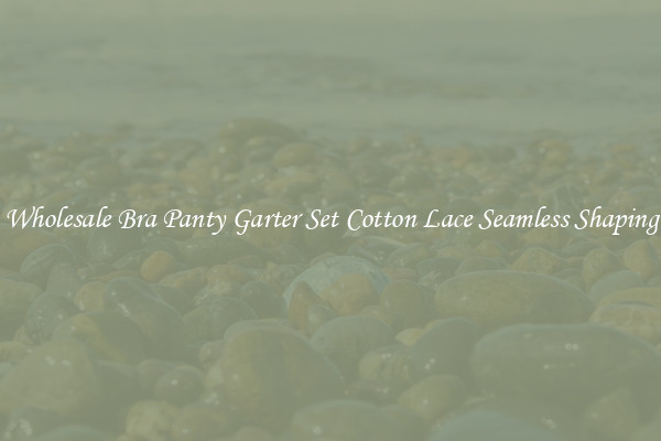 Wholesale Bra Panty Garter Set Cotton Lace Seamless Shaping
