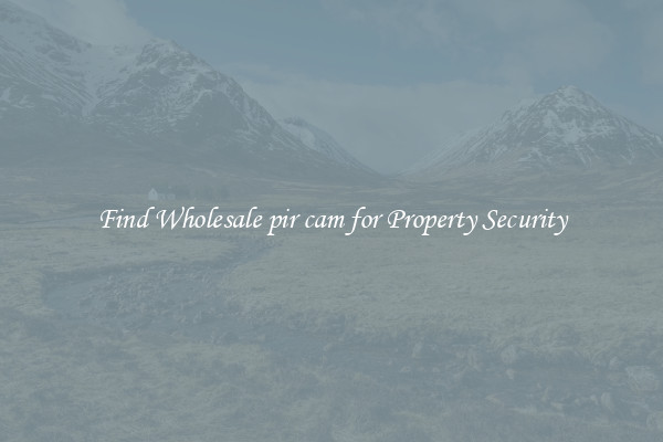 Find Wholesale pir cam for Property Security