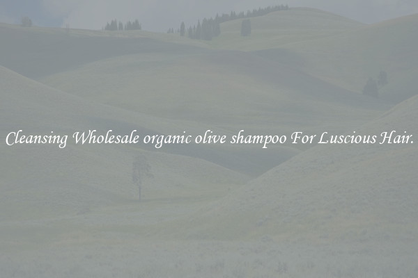 Cleansing Wholesale organic olive shampoo For Luscious Hair.