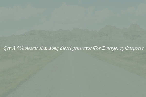 Get A Wholesale shandong diesel generator For Emergency Purposes