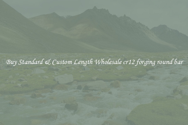 Buy Standard & Custom Length Wholesale cr12 forging round bar