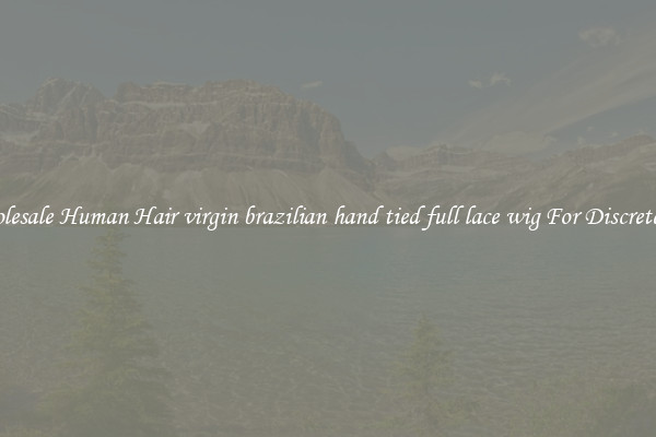 Wholesale Human Hair virgin brazilian hand tied full lace wig For Discreteness