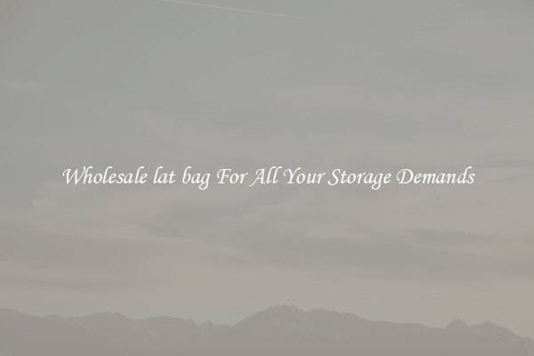 Wholesale lat bag For All Your Storage Demands