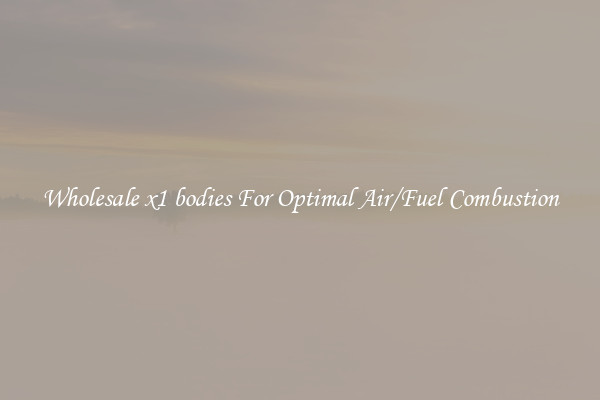 Wholesale x1 bodies For Optimal Air/Fuel Combustion
